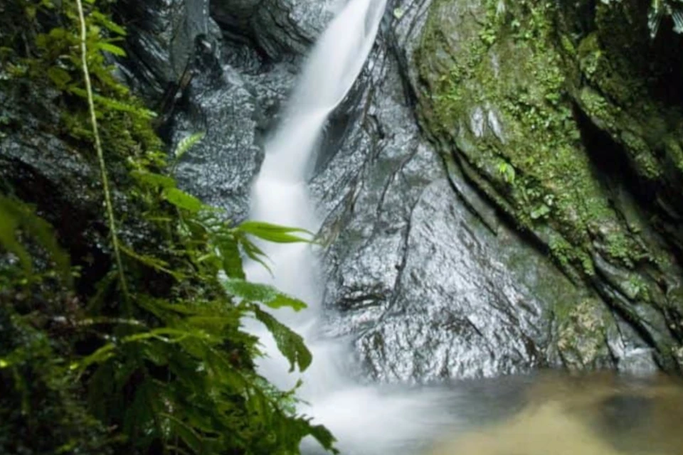 Majestic waterfall cascading down a lush cliff in Mashpi Lodge's rainforest, embodying the serene beauty of the forest.