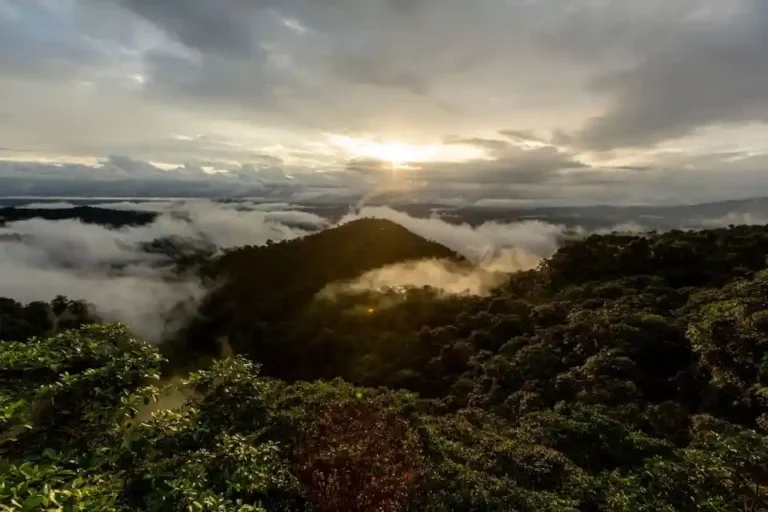 Sunrise peeks through clouds over lush jungle at Mashpi Lodge, highlighting the beauty of the Ecuadorian Chocó.