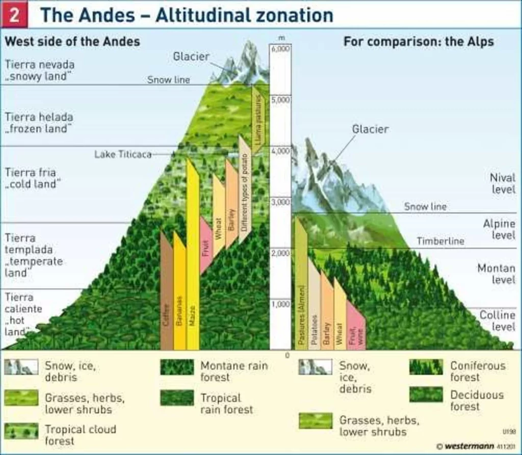 zonas andes
