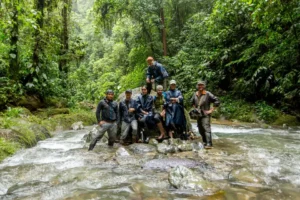Adventurous group crossing a stream in the lush rainforest surrounding Mashpi Lodge, Ecuador's premier eco-lodge.