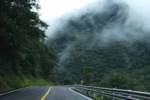 The winding road to Mashpi Lodge enveloped in mist, showcasing the mystical journey through Ecuador's cloud forest.