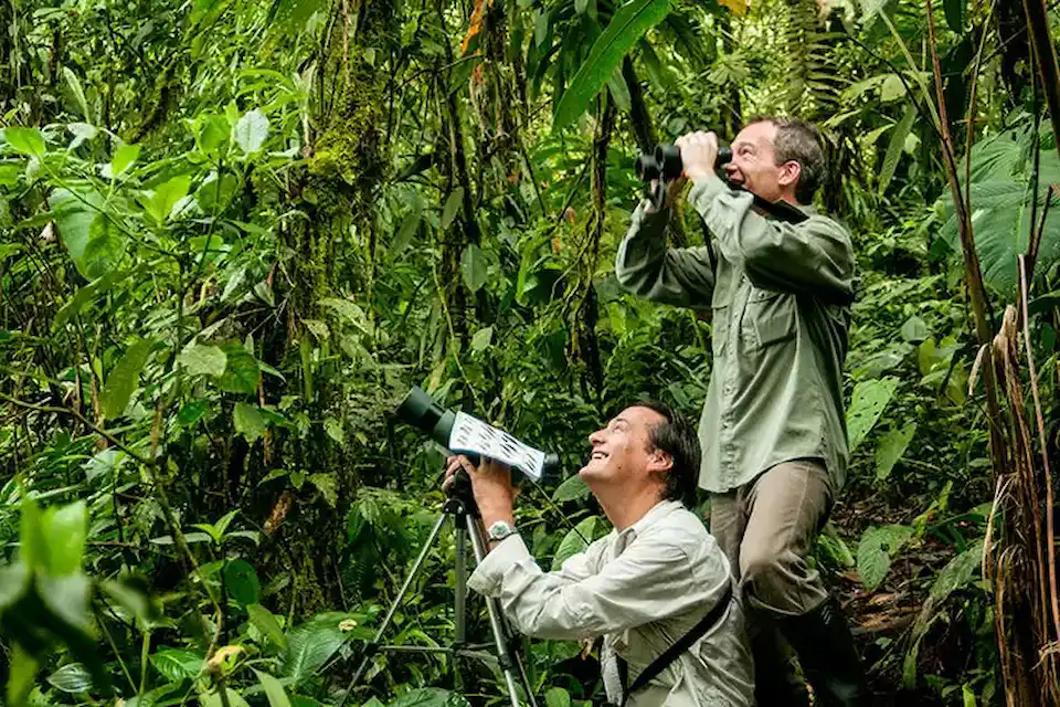 Birdwatching expedition at Mashpi Lodge