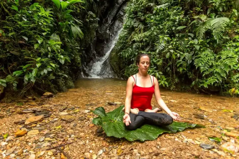 A serene meditation session in the tranquil surroundings of Mashpi Lodge, where the natural harmony of Ecuador's cloud forest promotes wellness.
