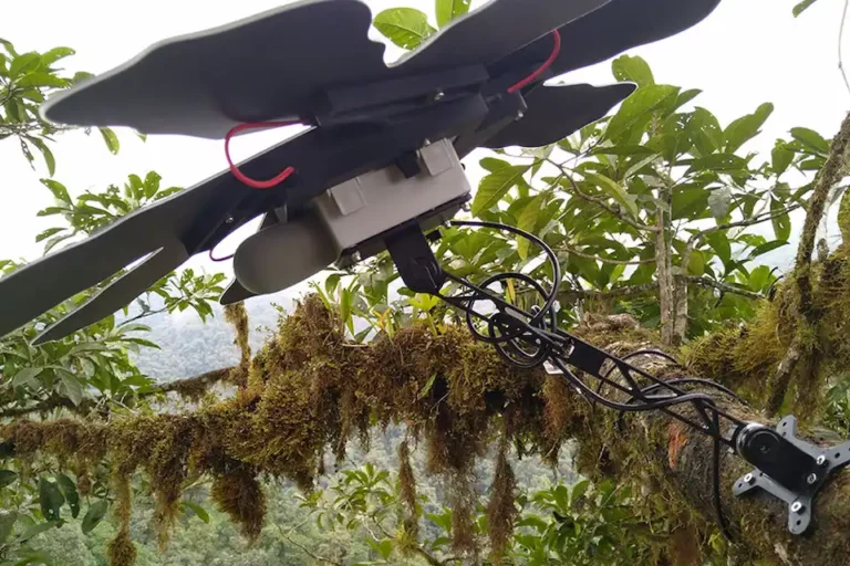 An camera drone designed for environmental monitoring perched in the lush, mossy cloud forest at Mashpi Lodge, Ecuador.