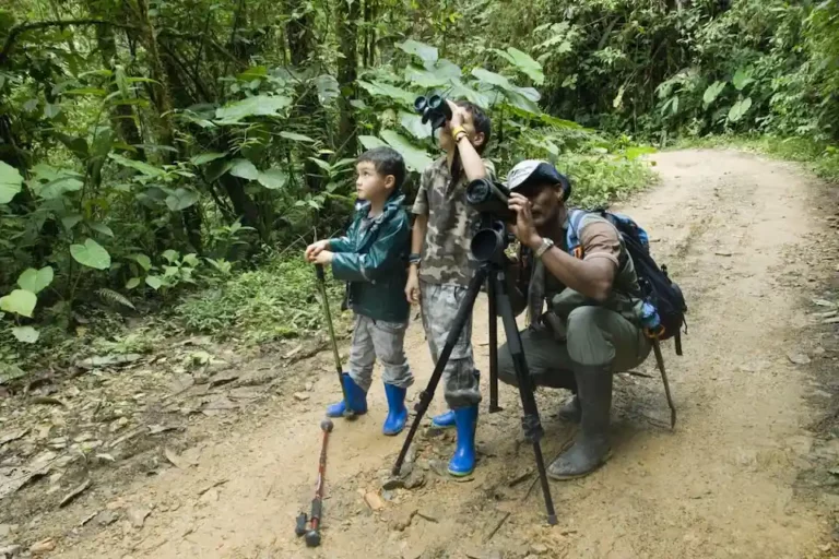 A child and an adult with binoculars keenly birdwatching in the dense greenery of Mashpi Lodge, part of the unique rainforest adventures offered.