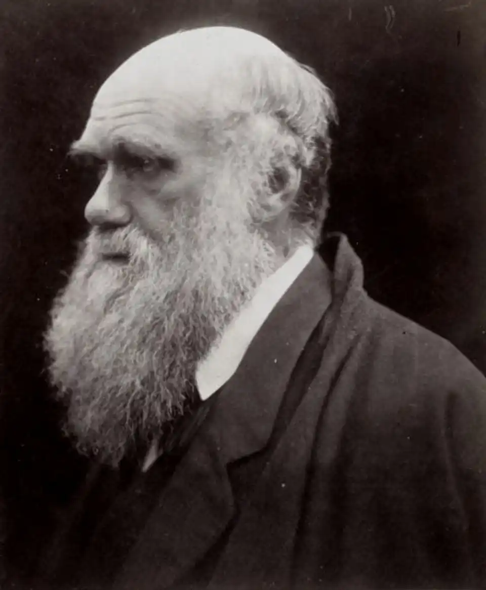 History of Darwin’s theory
