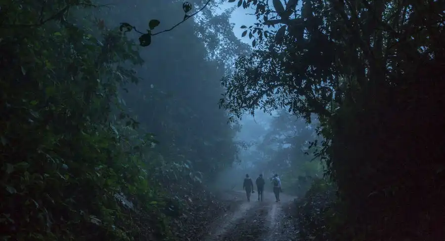 Visitors take a walk through a misty path at Mashpi Lodge