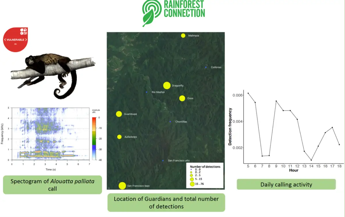 forest guardians locations mashpi reserve ecuador Rainforest connection