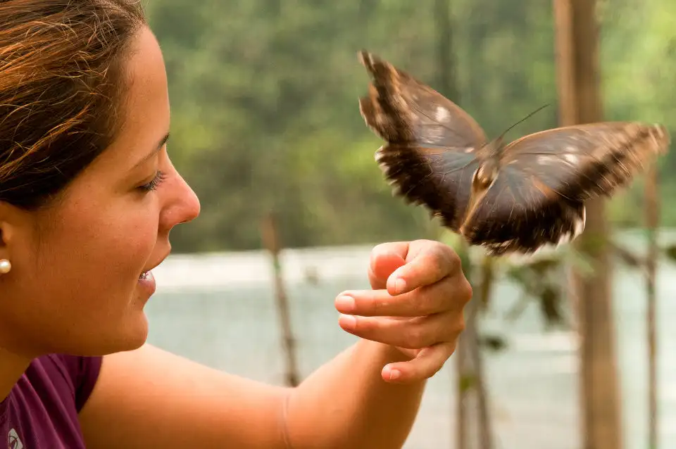 life center couples mashpi lodge A guest marvels at a butterfly taking flight from her hand at the Life Center in Mashpi Lodge.