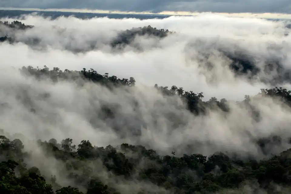 Mashpi Reserve Choco bioregion, view from cloud forest