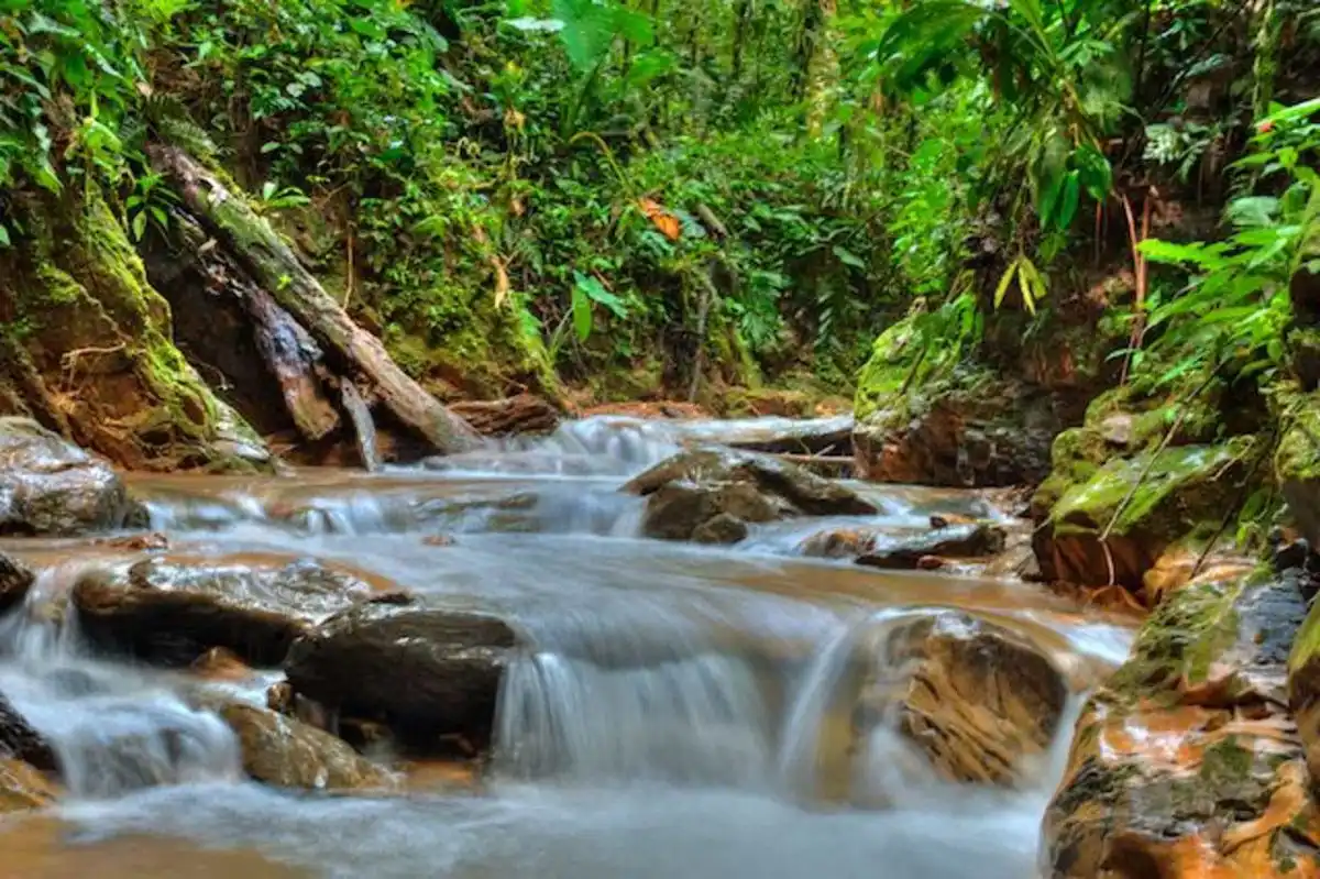 waterfall rapids Mashpi Reserve waterways