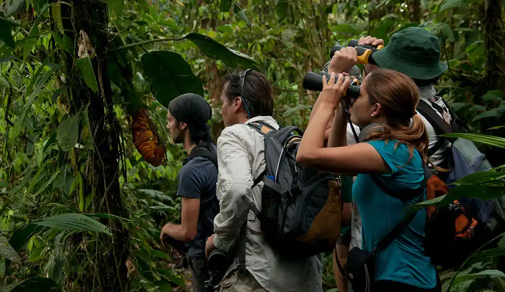 Residents exploring with binoculars in Mashpi Lodge's biodiverse rainforest