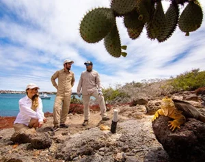 Tourists observing a yellow land iguana in its natural habitat at Finch Bay, Galapagos, included in Mashpi package tours.