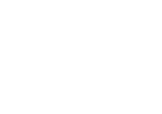 Logotipo de Swarovski Optik, con un pájaro volando, vinculado con la observación en Mashpi Lodge.