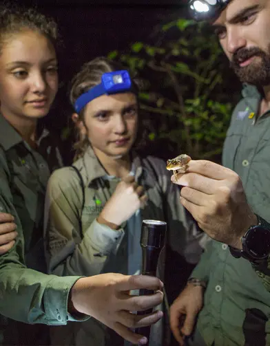 mashpi selva exploracion nocturna Night exploration with a guide showing a frog at Mashpi Lodge.
