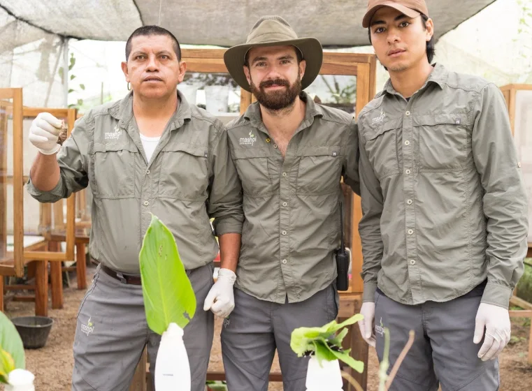 Miembros dedicados del equipo científico de la Reserva Mashpi trabajando en proyectos de conservación en el corazón de la selva nublada de Ecuador.