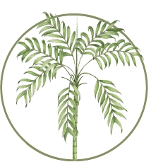 Representación artística de una planta tropical del verde ecosistema de Mashpi Lodge.