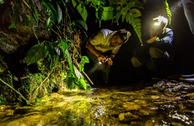 Biology team in nocturnal research
