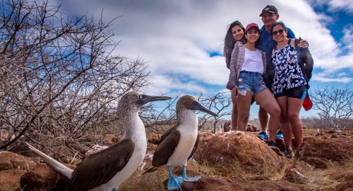 Galapagos Islands ecotourism: endemic wildlife and marine conservation in Ecuador