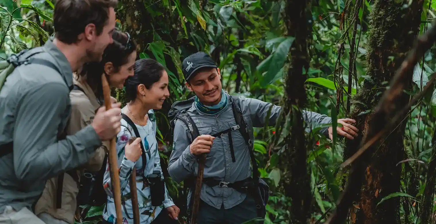 mashpi lodge hikes senior friendly adventures