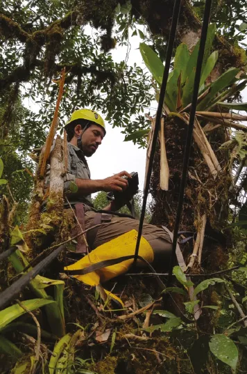 Researcher Mateo Roldan documenting flora in the Mashpi Lodge reserve, amidst the cloud forest.