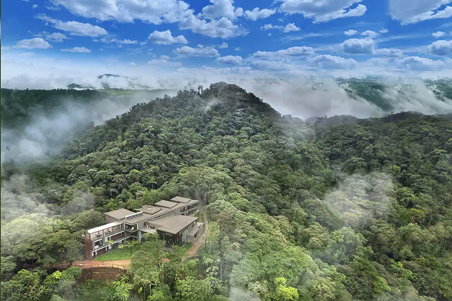 Best Time to Visit the Amazon Rainforest