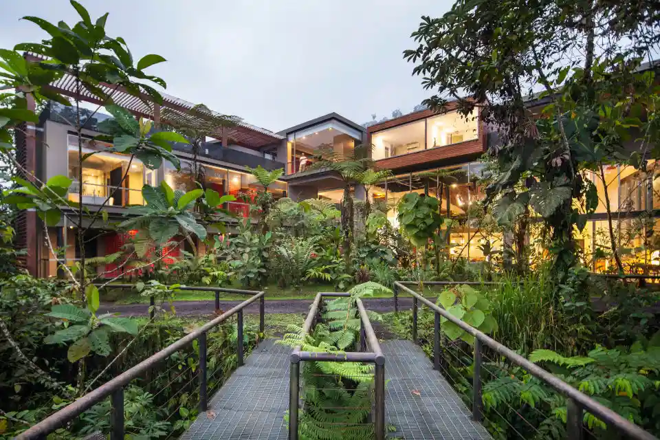 Mashpi Lodge Ecuador Bosque Lluvioso