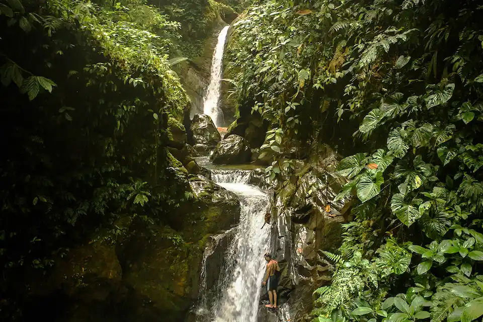 mashpi lodge waterfall