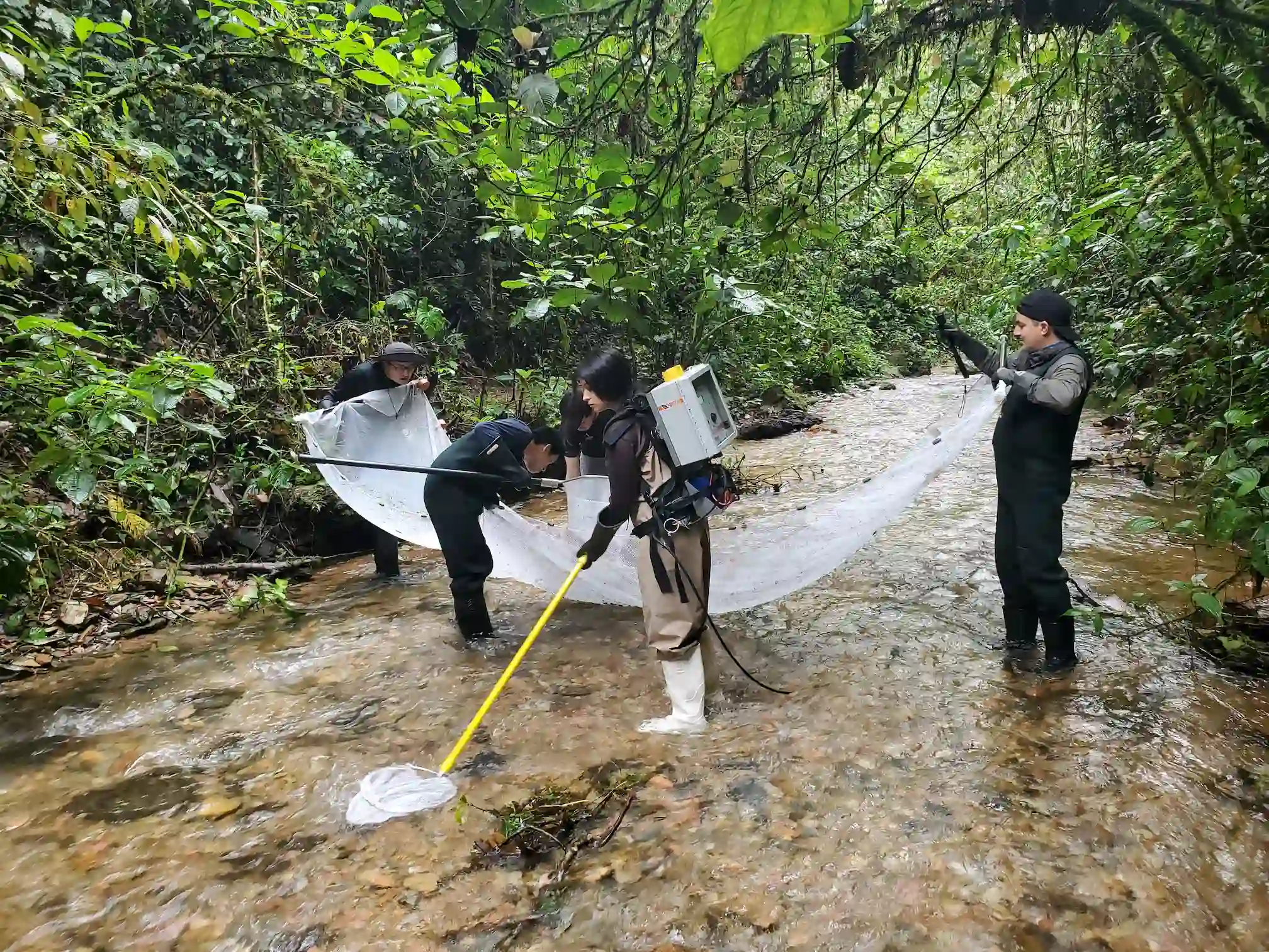 Researchers during a sampling session at the River