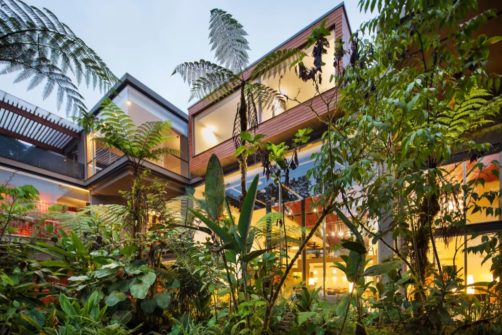 Mashpi Lodge, Perspective View