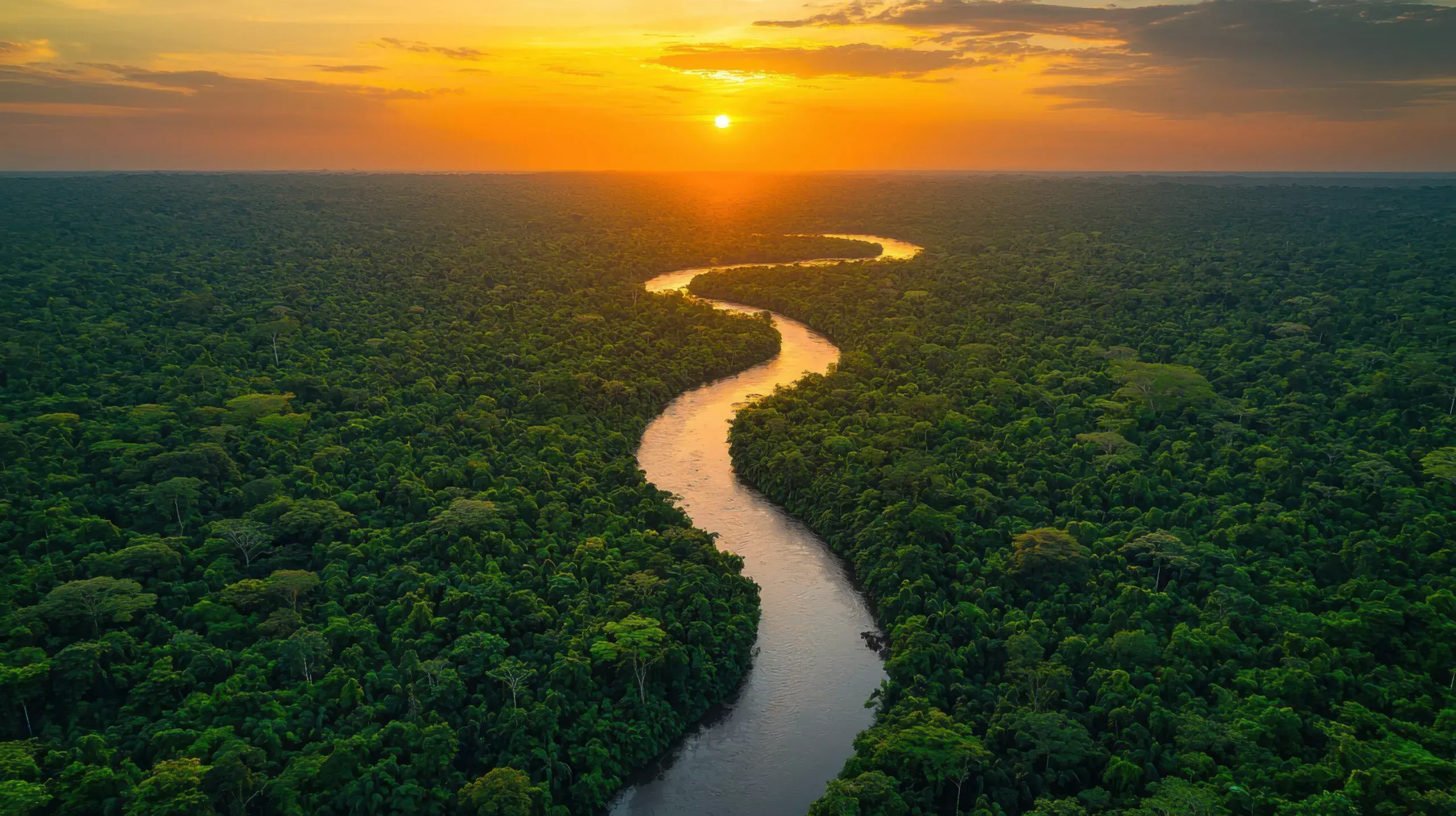 Aerial View of a River Winding Through the Amazon Rainforest