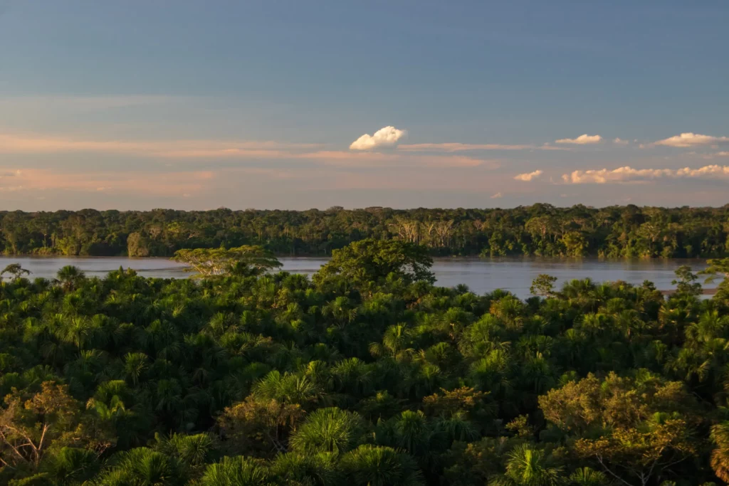 Amazon Ecuadorian Amazon