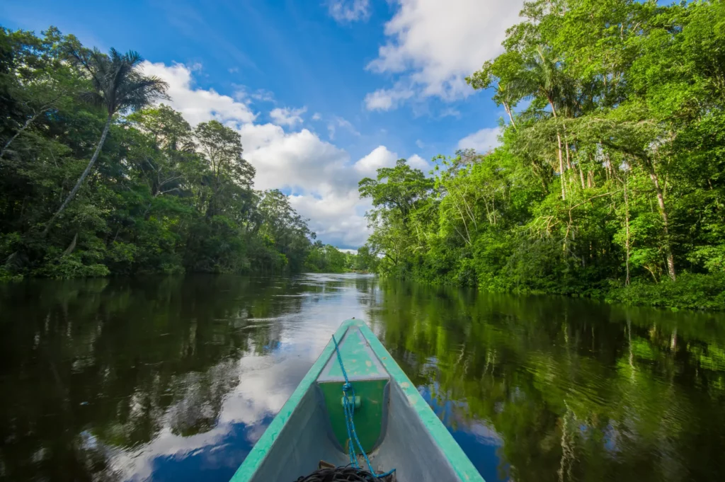 Travelling by boat into the depth of Amazon Jungles amaozn river