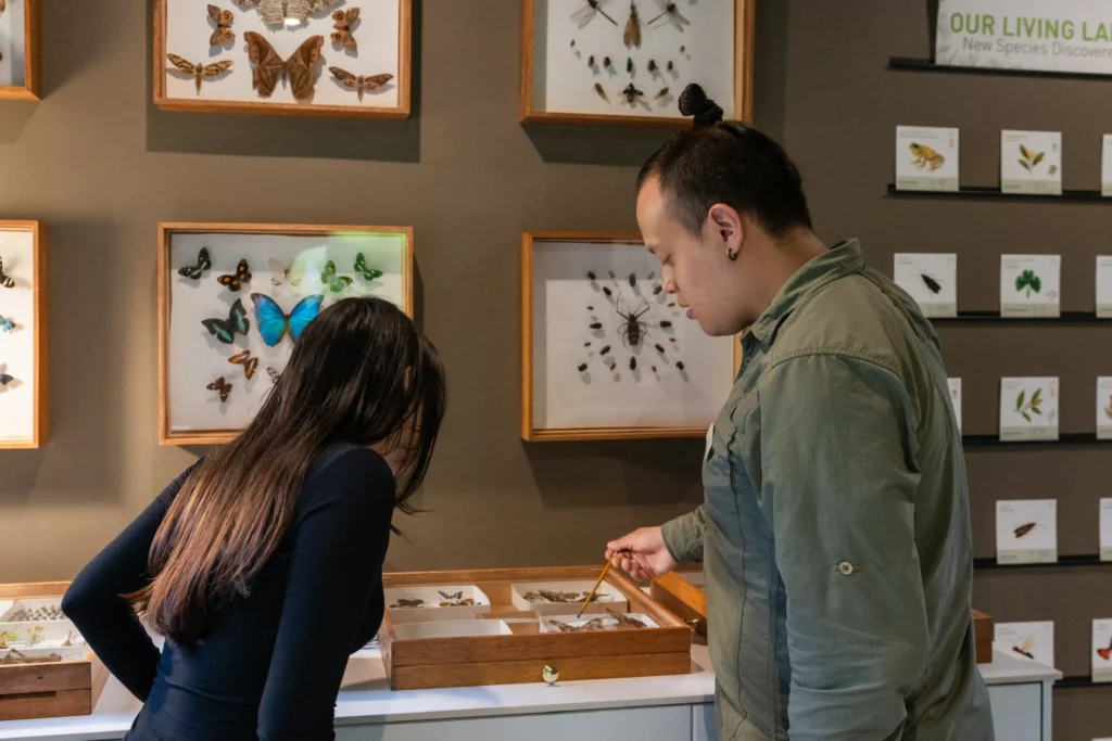 Pi Chong Insect Mashpi Science: Inside the World of Insects