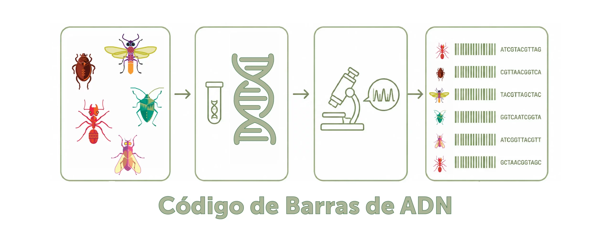 Código de Barras de ADN