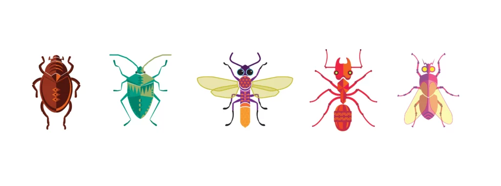 Insectos voladores