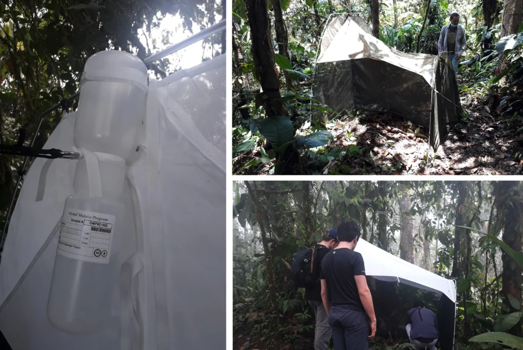 Mashpi Lodge team collecting insects from the trap Mashpi Lodge team collecting insects from the trap